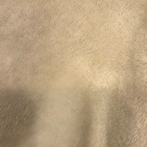 Meet your Posher, Kristal